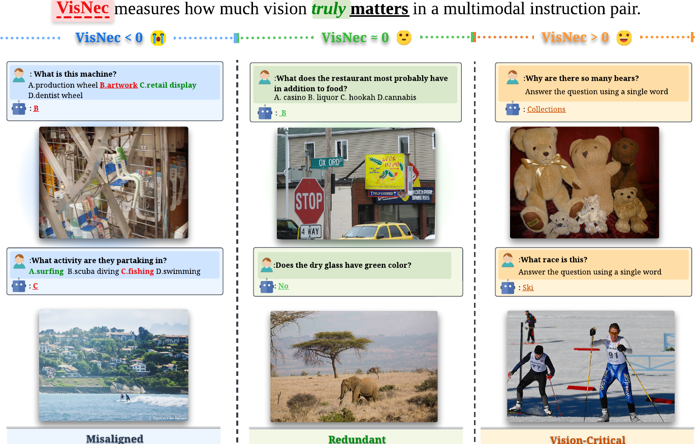 VisNec: Measuring and Leveraging Visual Necessity for Multimodal Instruction Tuning